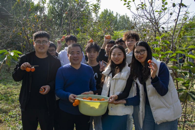 “柿”情话意，党徽暖秋