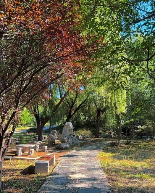 秋意正浓，诗画校园